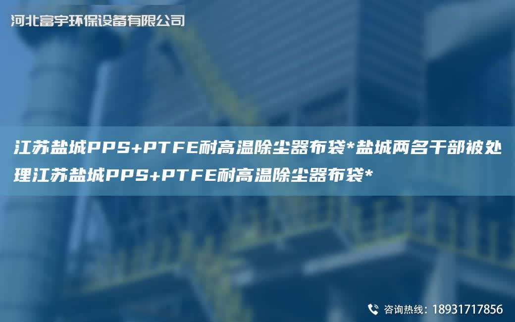 江蘇鹽城PPS+PTFE耐高溫除塵器布袋*鹽城兩M干部被處理江蘇鹽城PPS+PTFE耐高溫除塵器布袋*