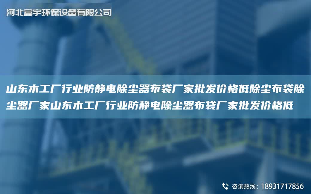 山東木工廠行業(yè)防靜電除塵器布袋廠家批發(fā)價格低除塵布袋除塵器廠家山東木工廠行業(yè)防靜電除塵器布袋廠家批發(fā)價格低