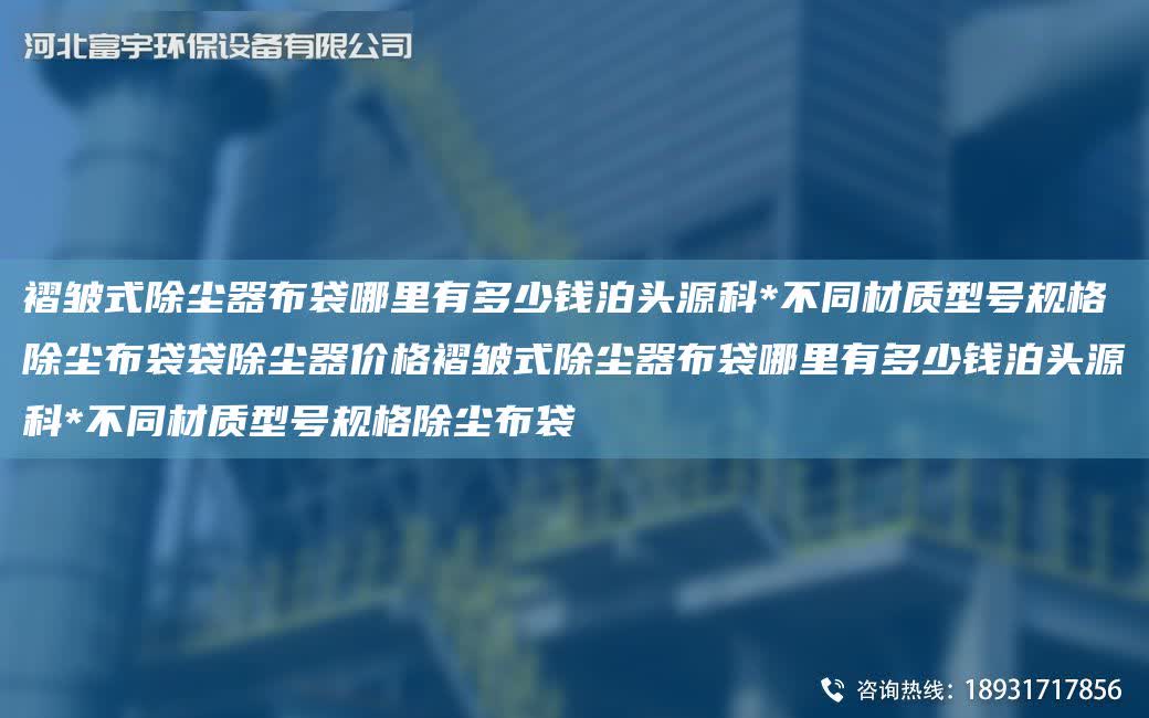 褶皺式除塵器布袋哪里有多少錢泊頭源科*不同材質型號規格除塵布袋袋除塵器價格褶皺式除塵器布袋哪里有多少錢泊頭源科*不同材質型號規格除塵布袋