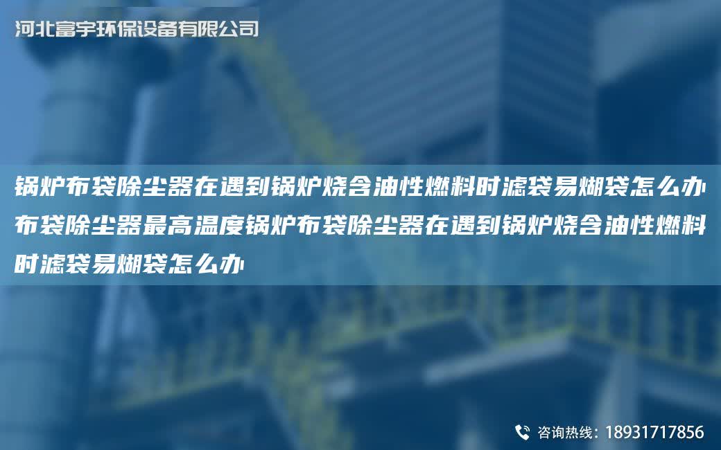 鍋爐布袋除塵器在遇到鍋爐燒含油性燃料時濾袋易煳袋怎么辦布袋除塵器Z高溫度鍋爐布袋除塵器在遇到鍋爐燒含油性燃料時濾袋易煳袋怎么辦