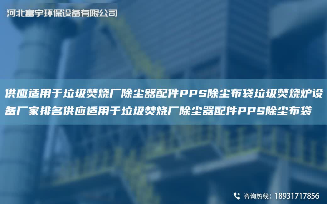 供應適用于垃圾焚燒廠除塵器配件PPS除塵布袋垃圾焚燒爐設備廠家排M供應適用于垃圾焚燒廠除塵器配件PPS除塵布袋
