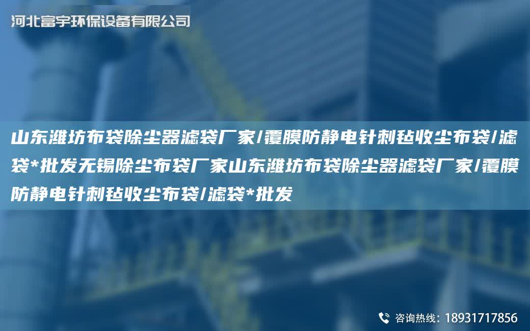山東濰坊布袋除塵器濾袋廠家/覆膜防靜電針刺氈收塵布袋/濾袋*批發無錫除塵布袋廠家山東濰坊布袋除塵器濾袋廠家/覆膜防靜電針刺氈收塵布袋/濾袋*批發