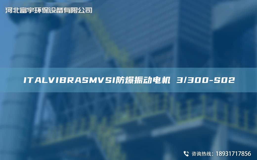 ITALVIBRASMVSI防爆振動電機 3/300-S02