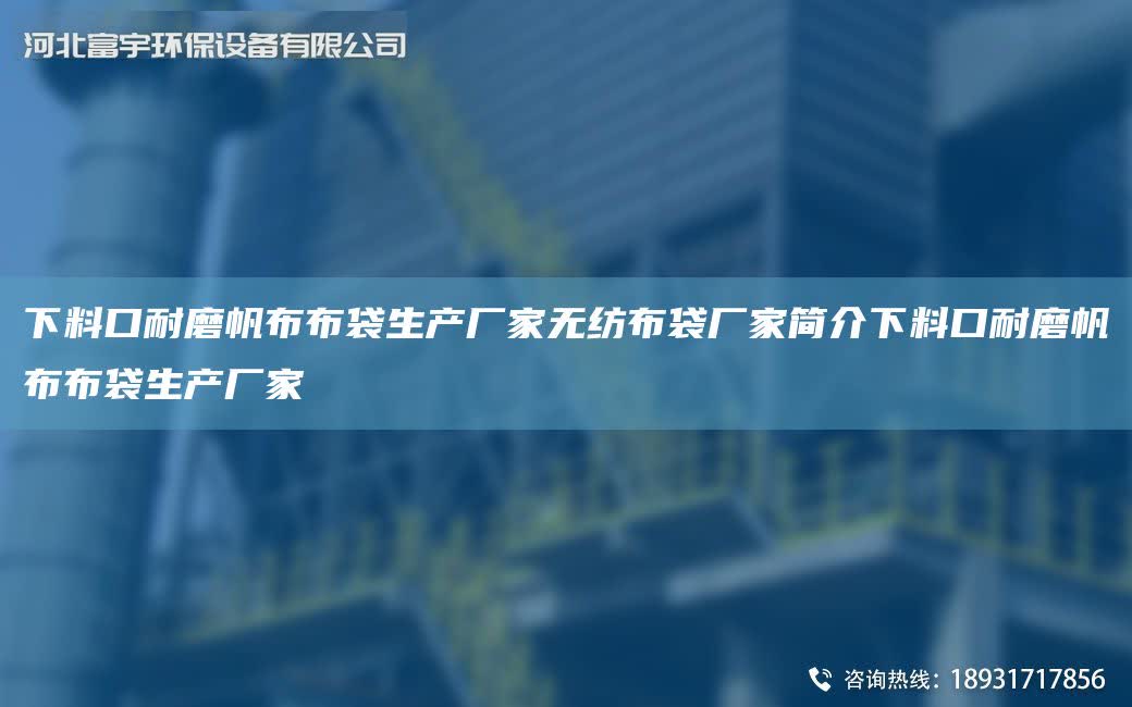 下料口耐磨帆布布袋生產廠家無紡布袋廠家簡介下料口耐磨帆布布袋生產廠家