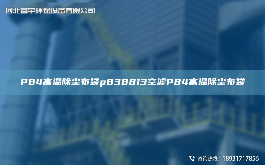 P84高溫除塵布袋p838813空濾P84高溫除塵布袋