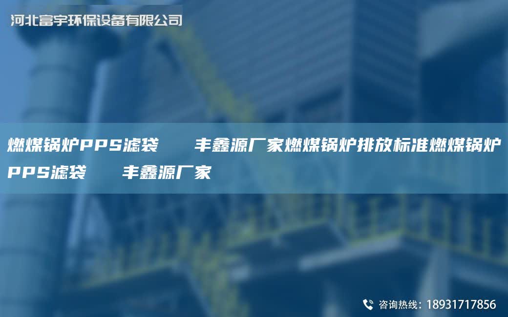 燃煤鍋爐PPS濾袋   豐鑫源廠家燃煤鍋爐排放標準燃煤鍋爐PPS濾袋   豐鑫源廠家