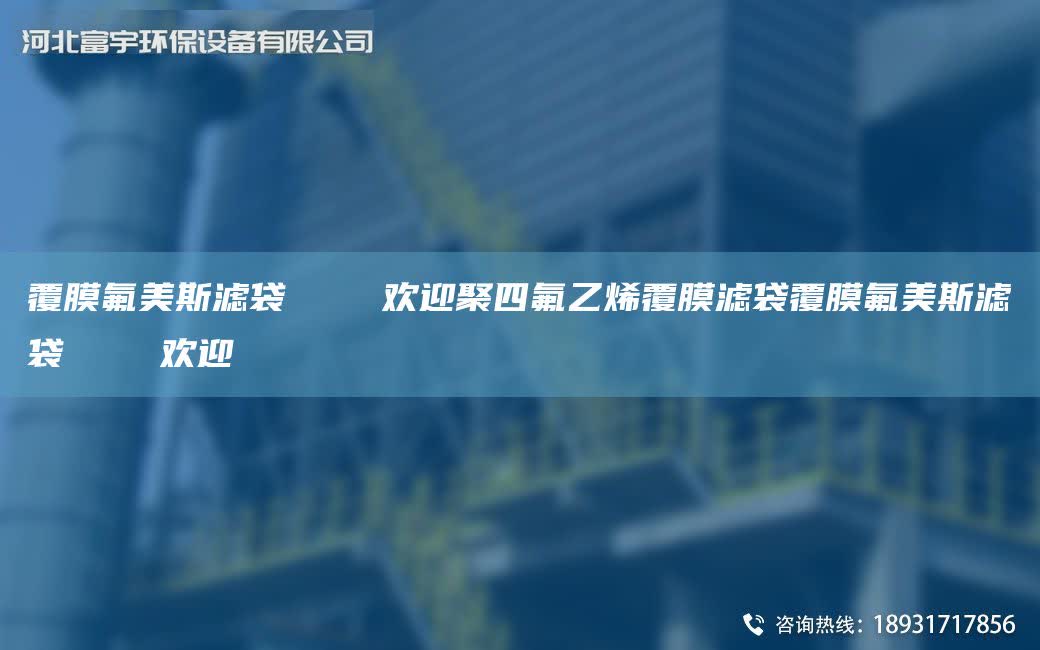 覆膜氟美斯濾袋    歡迎聚四氟乙烯覆膜濾袋覆膜氟美斯濾袋    歡迎