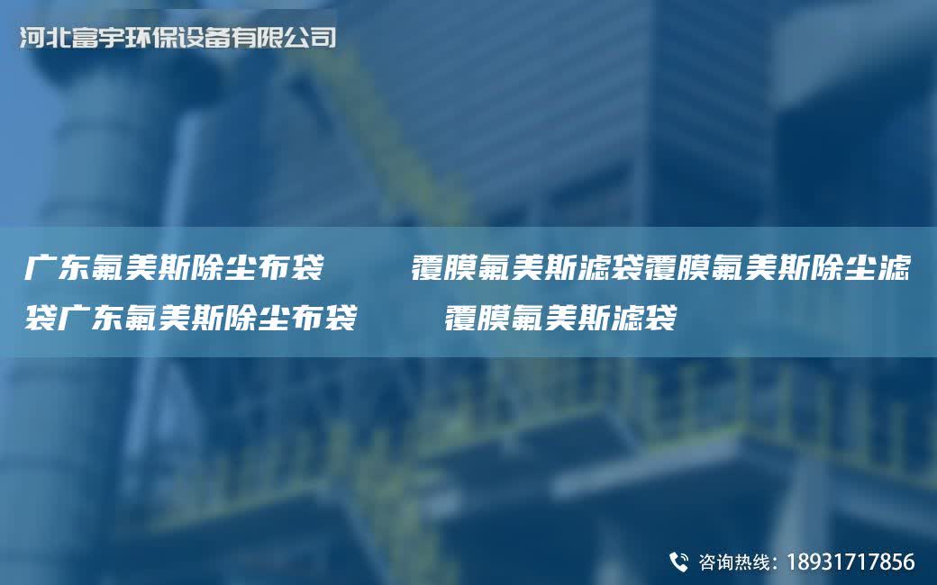 廣東氟美斯除塵布袋    覆膜氟美斯濾袋覆膜氟美斯除塵濾袋廣東氟美斯除塵布袋    覆膜氟美斯濾袋