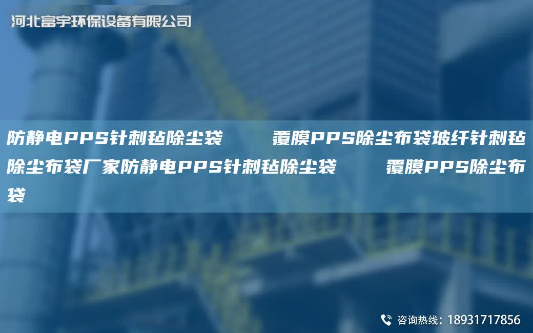 防靜電PPS針刺氈除塵袋    覆膜PPS除塵布袋玻纖針刺氈除塵布袋廠家防靜電PPS針刺氈除塵袋    覆膜PPS除塵布袋