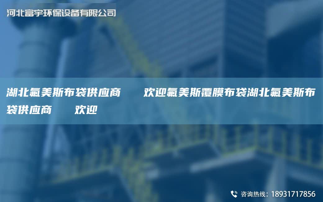 湖北氟美斯布袋供應(yīng)商   歡迎氟美斯覆膜布袋湖北氟美斯布袋供應(yīng)商   歡迎