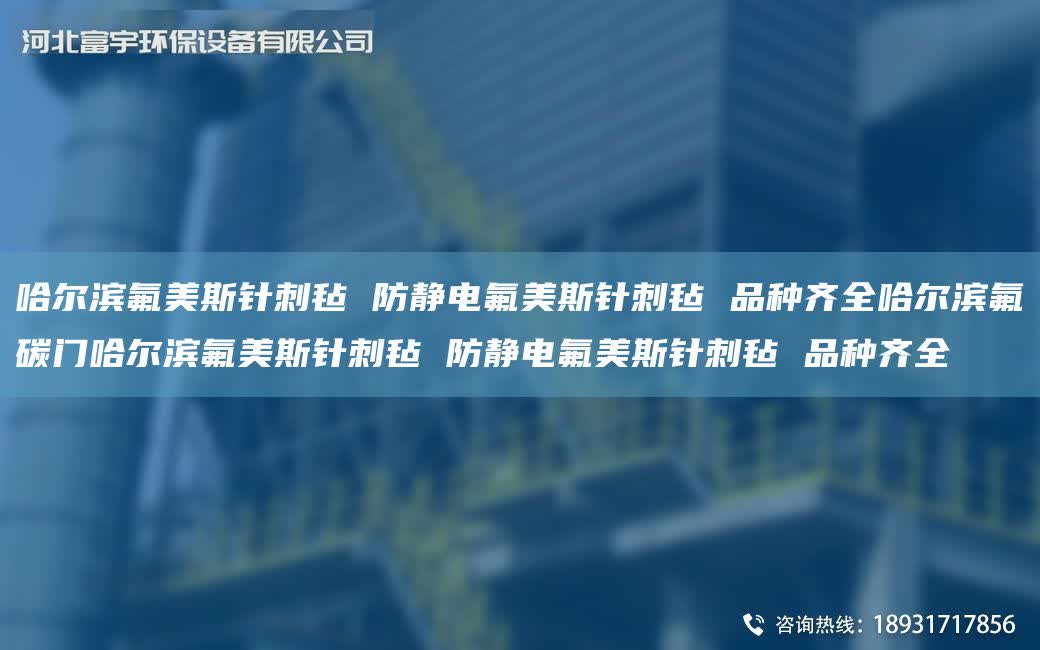 哈爾濱氟美斯針刺氈 防靜電氟美斯針刺氈 品種齊全哈爾濱氟碳門哈爾濱氟美斯針刺氈 防靜電氟美斯針刺氈 品種齊全