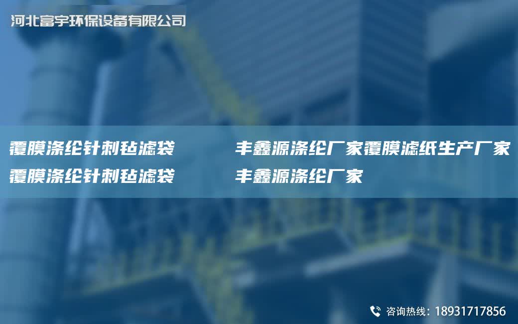 覆膜滌綸針刺氈濾袋     豐鑫源滌綸廠家覆膜濾紙生產廠家覆膜滌綸針刺氈濾袋     豐鑫源滌綸廠家
