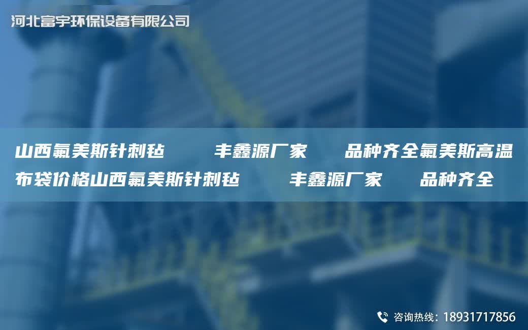 山西氟美斯針刺氈    豐鑫源廠家   品種齊全氟美斯高溫布袋價格山西氟美斯針刺氈    豐鑫源廠家   品種齊全