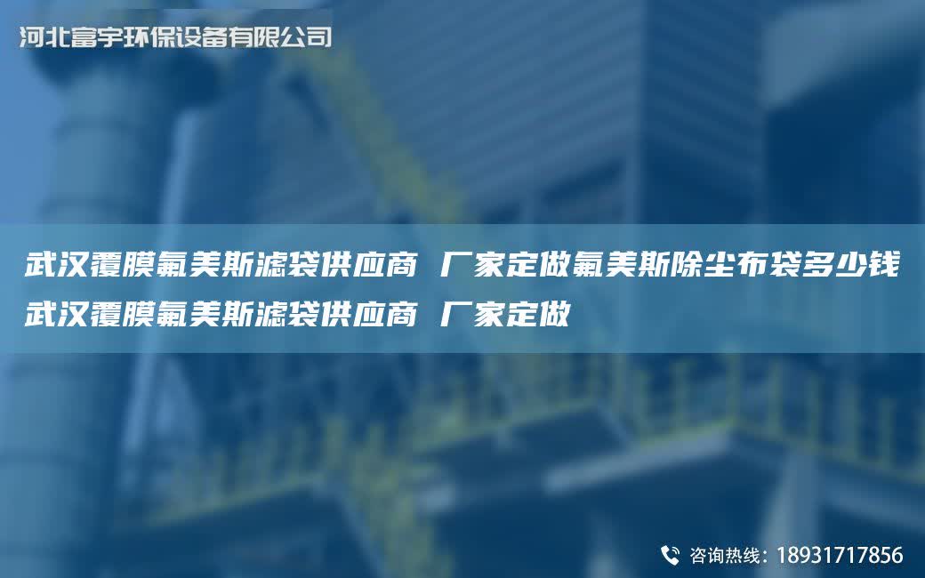 武漢覆膜氟美斯濾袋供應商 廠家定做氟美斯除塵布袋多少錢武漢覆膜氟美斯濾袋供應商 廠家定做