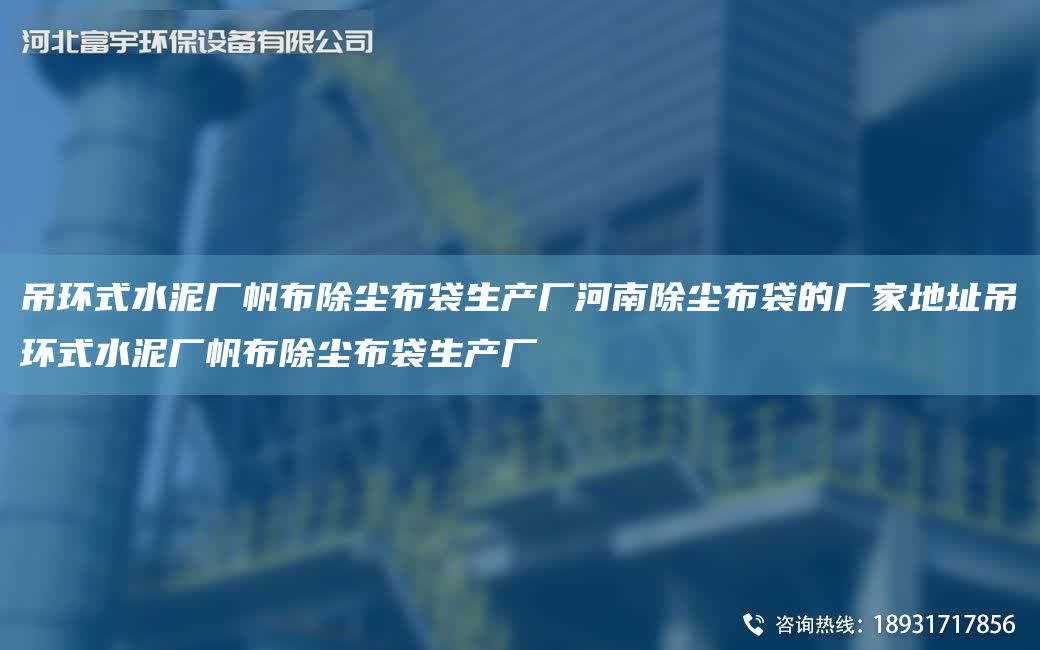 吊環式水泥廠帆布除塵布袋生產廠河南除塵布袋的廠家地址吊環式水泥廠帆布除塵布袋生產廠