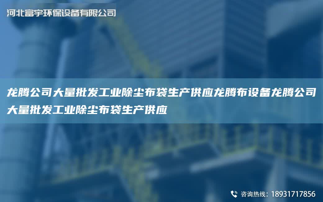 龍騰公司大量批發工業除塵布袋生產供應龍騰布設備龍騰公司大量批發工業除塵布袋生產供應