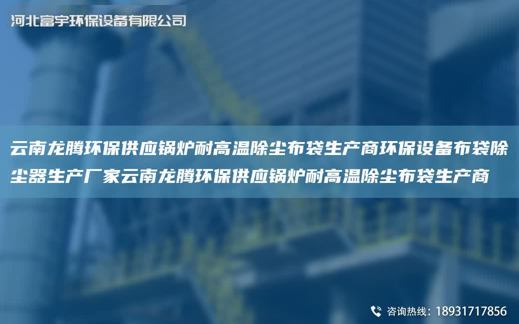 云南龍騰環保供應鍋爐耐高溫除塵布袋生產商環保設備布袋除塵器生產廠家云南龍騰環保供應鍋爐耐高溫除塵布袋生產商