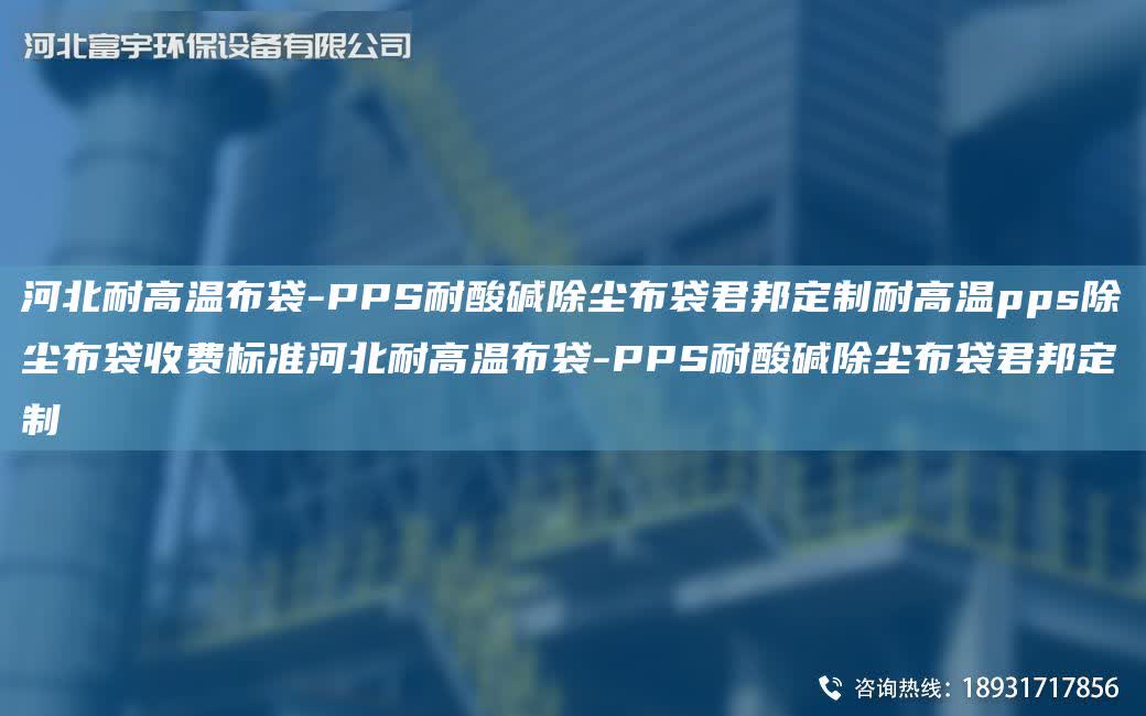 河北耐高溫布袋-PPS耐酸堿除塵布袋君邦定制耐高溫pps除塵布袋收費標準河北耐高溫布袋-PPS耐酸堿除塵布袋君邦定制