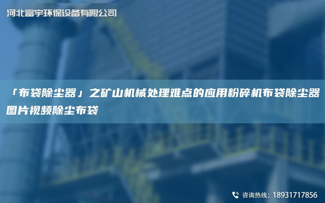 「布袋除塵器」之礦山機械處理難點的應用粉碎機布袋除塵器圖片視頻除塵布袋