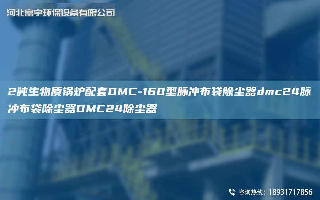 2噸生物質(zhì)鍋爐配TA-ODMC-160型脈沖布袋除塵器dmc24脈沖布袋除塵器DMC24除塵器