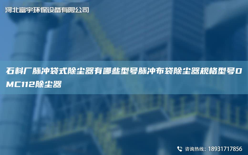 石料廠脈沖袋式除塵器有哪些型號脈沖布袋除塵器規格型號DMC112除塵器