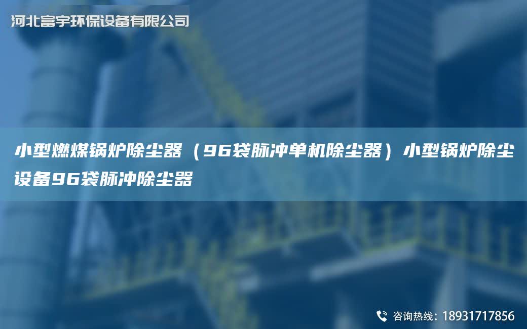 小型燃煤鍋爐除塵器（96袋脈沖單機除塵器）小型鍋爐除塵設備96袋脈沖除塵器