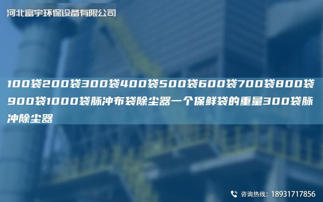 100袋200袋300袋400袋500袋600袋700袋800袋900袋1000袋脈沖布袋除塵器一個保鮮袋的重量300袋脈沖除塵器