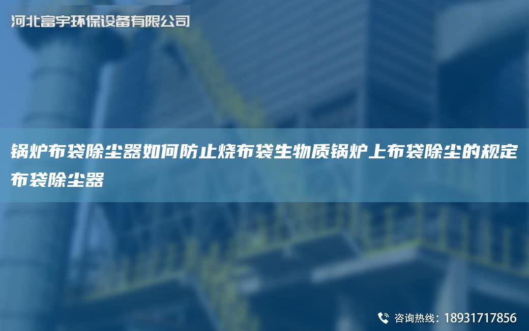 鍋爐布袋除塵器如何防止燒布袋生物質(zhì)鍋爐上布袋除塵的規(guī)定布袋除塵器