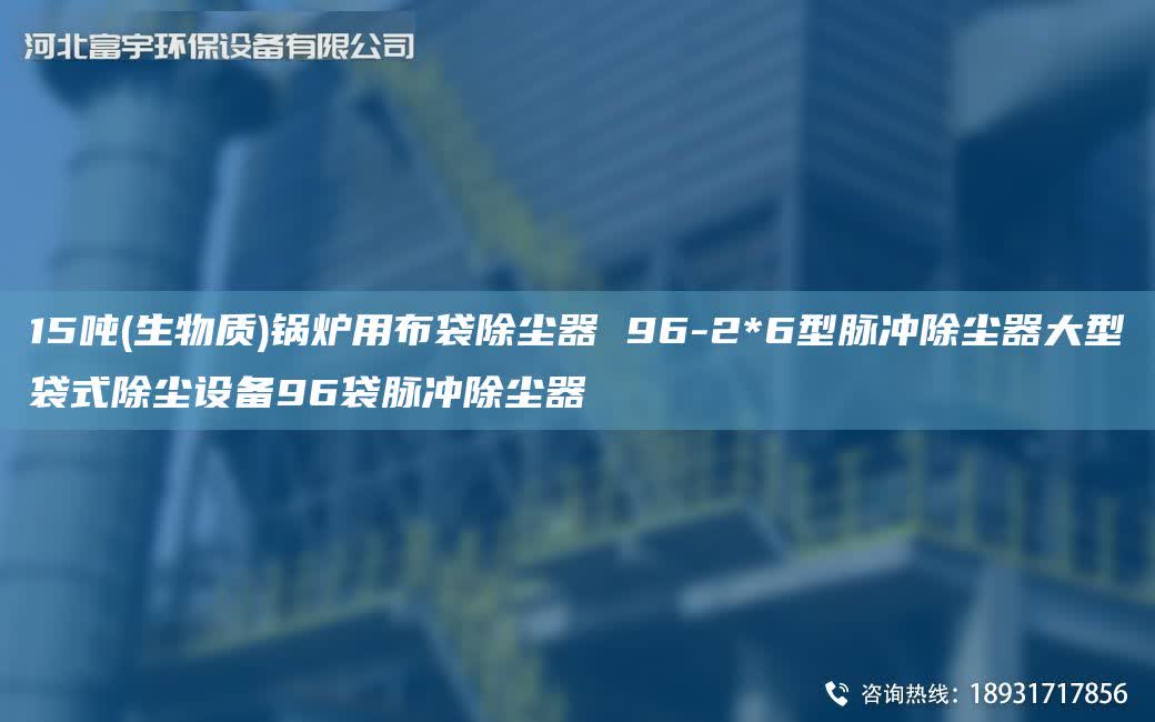 15噸(生物質(zhì))鍋爐用布袋除塵器 96-2*6型脈沖除塵器大型袋式除塵設(shè)備96袋脈沖除塵器