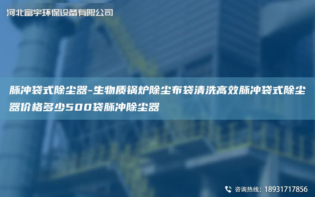 脈沖袋式除塵器-生物質(zhì)鍋爐除塵布袋清洗高效脈沖袋式除塵器價(jià)格多少500袋脈沖除塵器
