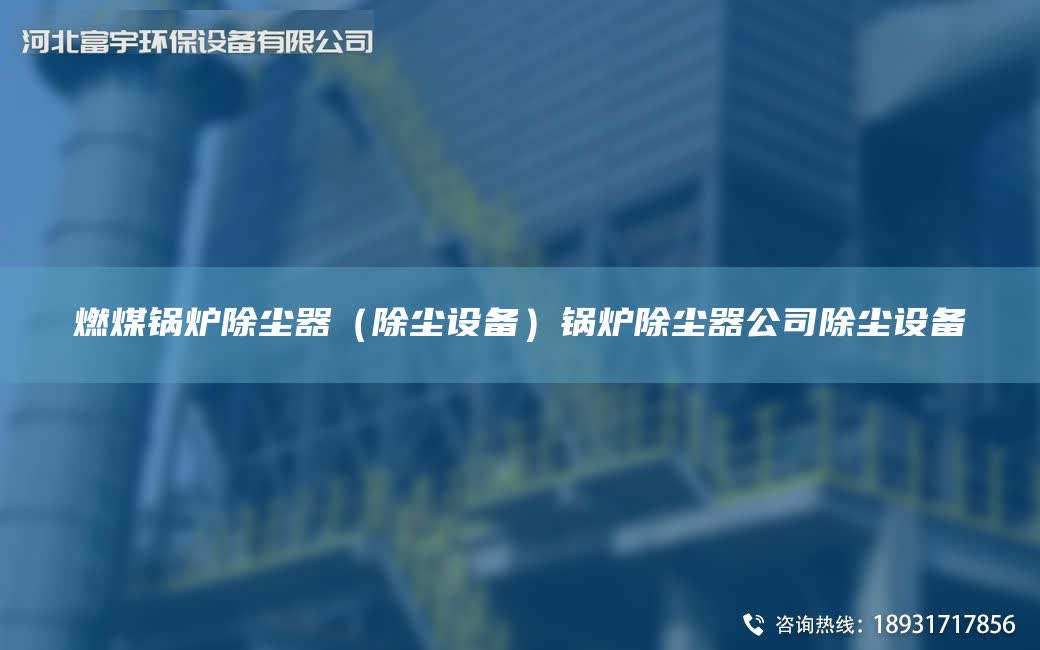 燃煤鍋爐除塵器（除塵設備）鍋爐除塵器公司除塵設備