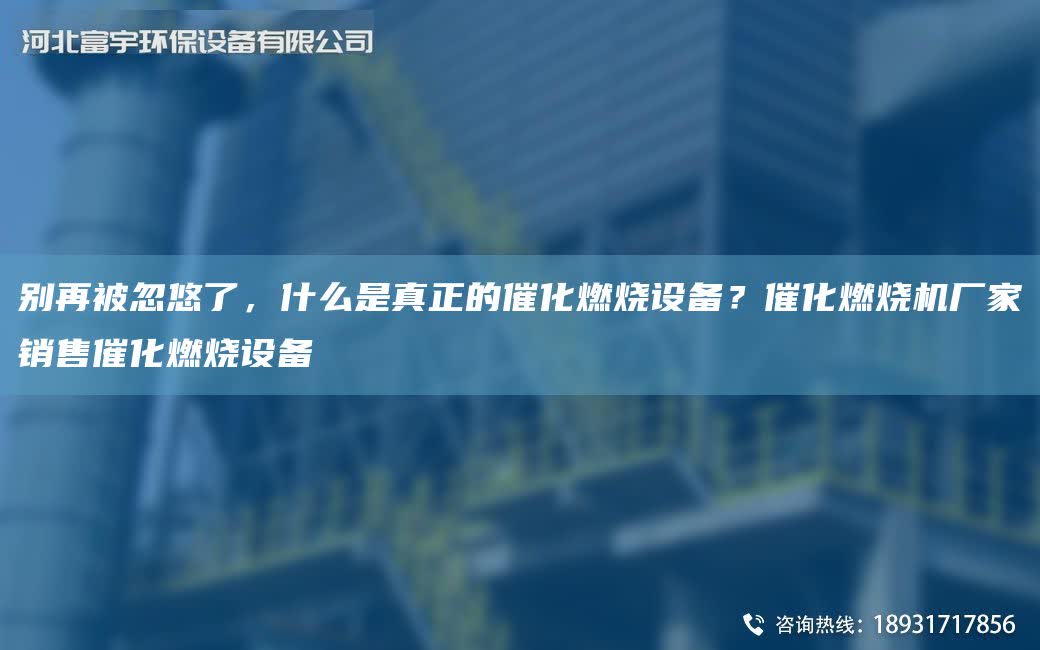 別再被忽悠了，什么是真正的催化燃燒設備？催化燃燒機廠家銷售催化燃燒設備