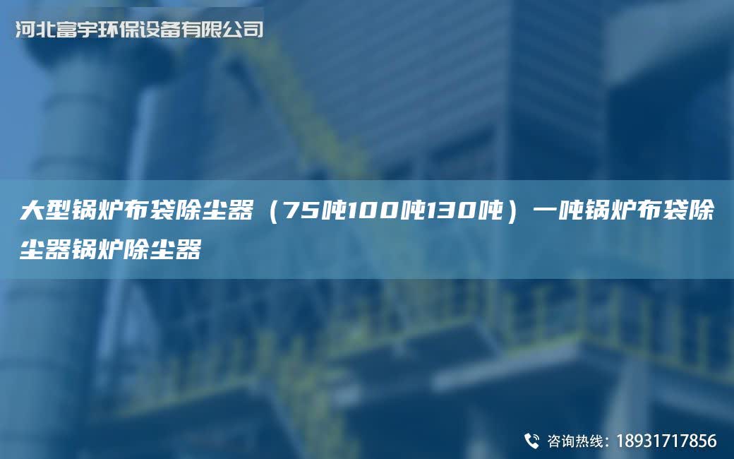 大型鍋爐布袋除塵器（75噸100噸130噸）一噸鍋爐布袋除塵器鍋爐除塵器