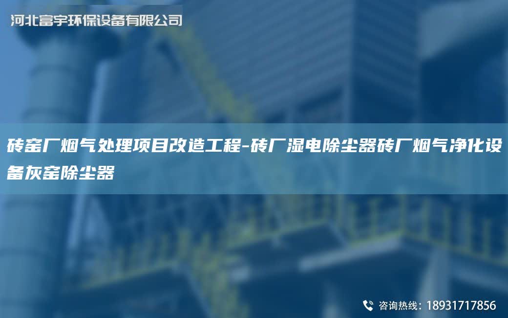 磚窯廠煙氣處理項目改造工程-磚廠濕電除塵器磚廠煙氣凈化設備灰窯除塵器