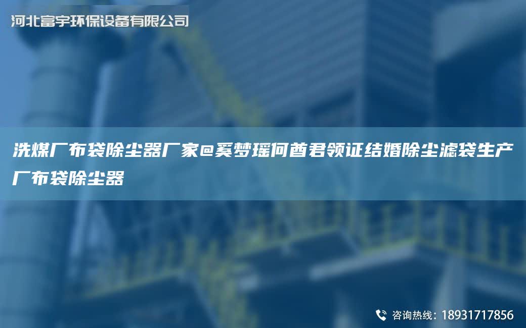 洗煤廠布袋除塵器廠家@奚夢瑤何酋君領證結婚除塵濾袋生產廠布袋除塵器