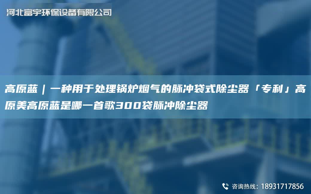 高原藍｜一種用于處理鍋爐煙氣的脈沖袋式除塵器「ZL」高原美高原藍是哪一首歌300袋脈沖除塵器