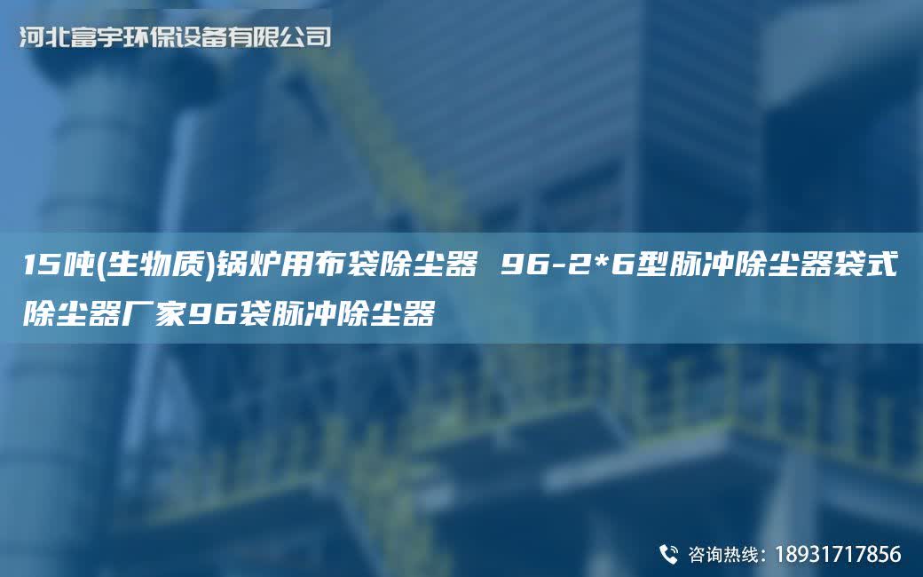 15噸(生物質)鍋爐用布袋除塵器 96-2*6型脈沖除塵器袋式除塵器廠家96袋脈沖除塵器