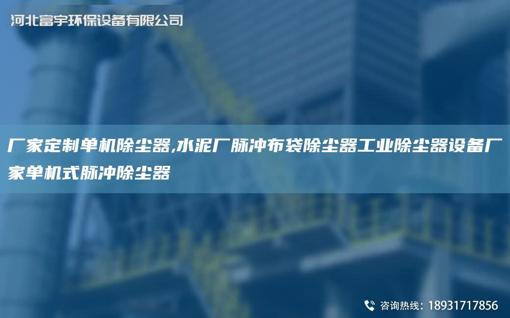 廠家定制單機除塵器,水泥廠脈沖布袋除塵器工業除塵器設備廠家單機式脈沖除塵器