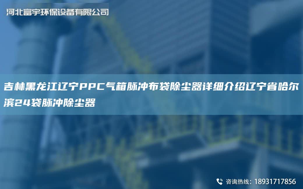 吉林黑龍江遼寧PPC氣箱脈沖布袋除塵器詳細介紹遼寧省哈爾濱24袋脈沖除塵器