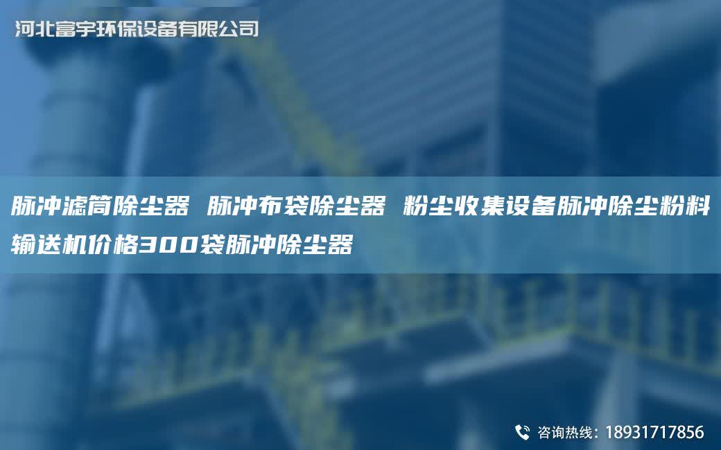 脈沖濾筒除塵器 脈沖布袋除塵器 粉塵收集設備脈沖除塵粉料輸送機價格300袋脈沖除塵器
