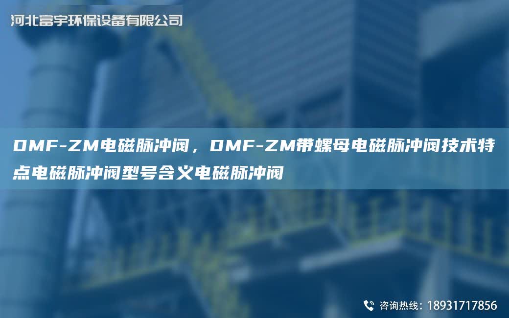 DMF-ZM電磁脈沖閥，DMF-ZM帶螺母電磁脈沖閥技術特點電磁脈沖閥型號含義電磁脈沖閥