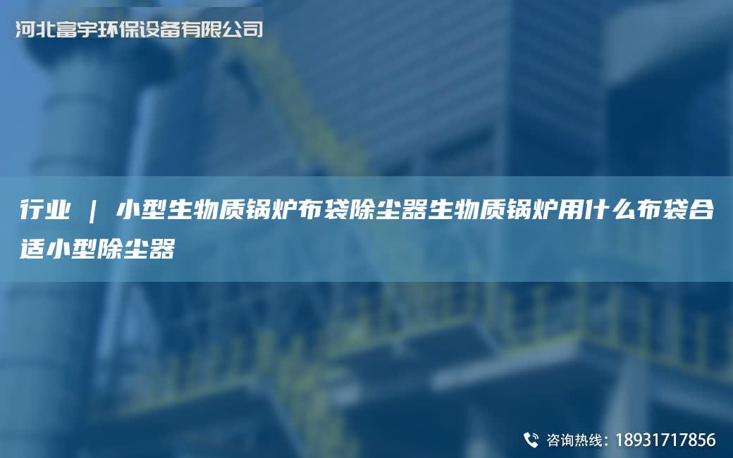 行業 | 小型生物質鍋爐布袋除塵器生物質鍋爐用什么布袋合適小型除塵器