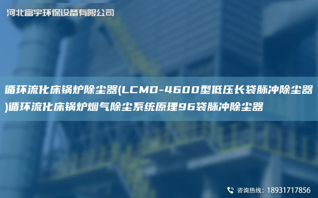 循環(huán)流化床鍋爐除塵器(LCMD-4600型低壓長袋脈沖除塵器)循環(huán)流化床鍋爐煙氣除塵系統(tǒng)原理96袋脈沖除塵器