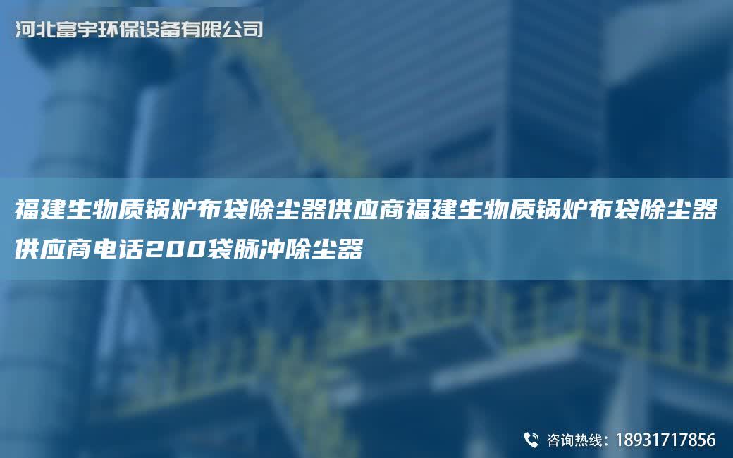 福建生物質鍋爐布袋除塵器供應商福建生物質鍋爐布袋除塵器供應商電話200袋脈沖除塵器