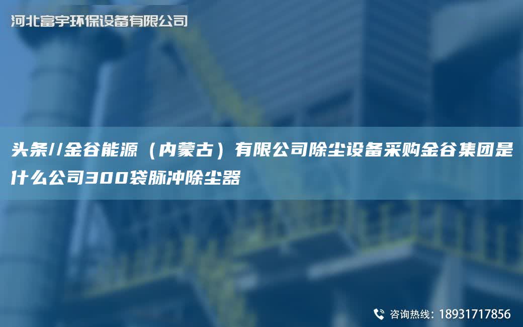 頭條//金谷能源（內蒙古）有限公司除塵設備采購金谷集團是什么公司300袋脈沖除塵器