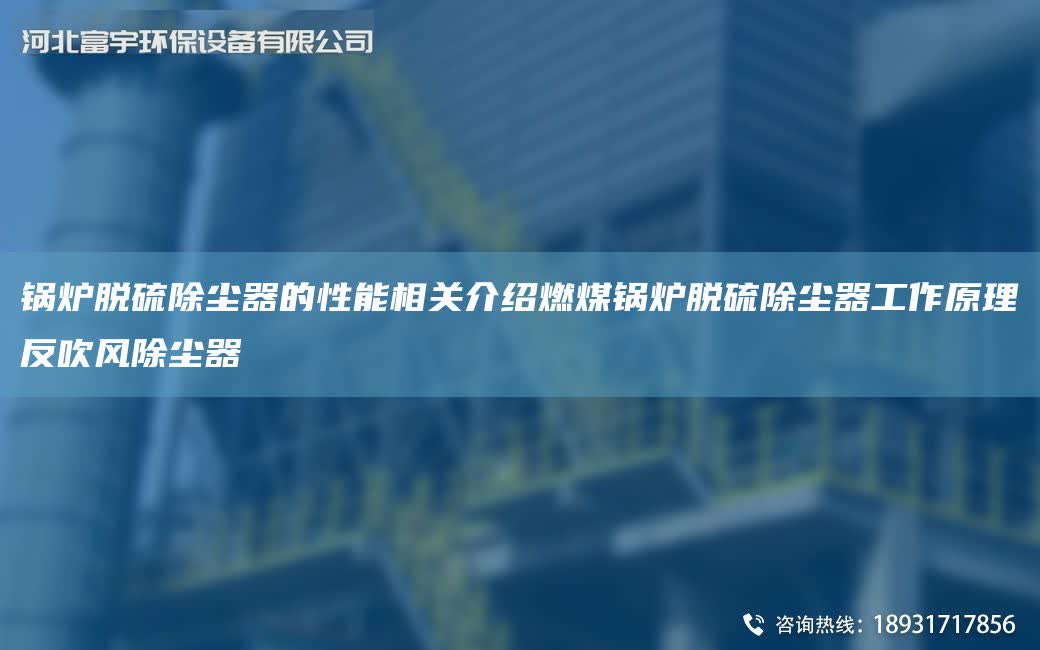 鍋爐脫硫除塵器的性能相關介紹燃煤鍋爐脫硫除塵器工作原理反吹風除塵器
