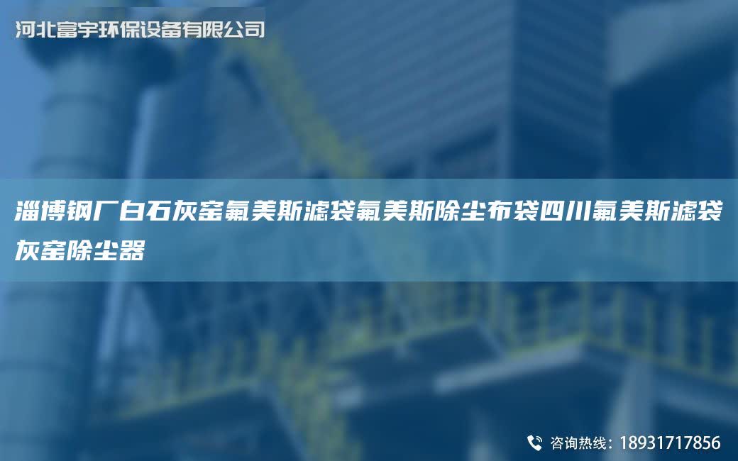 淄博鋼廠白石灰窯氟美斯濾袋氟美斯除塵布袋四川氟美斯濾袋灰窯除塵器