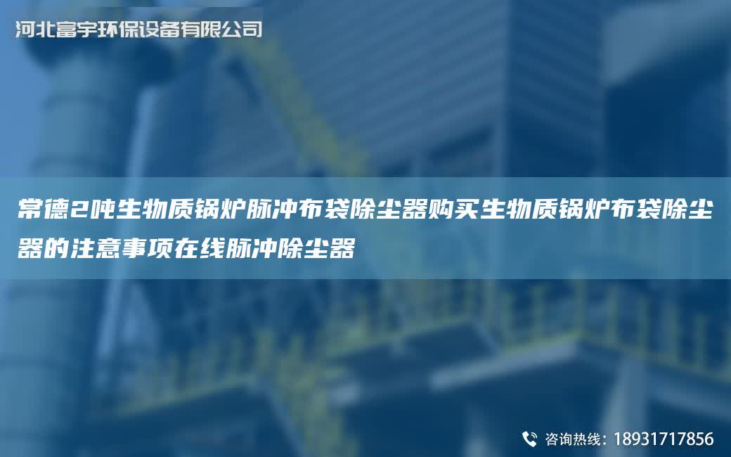 常德2噸生物質鍋爐脈沖布袋除塵器購買生物質鍋爐布袋除塵器的注意事項在線脈沖除塵器