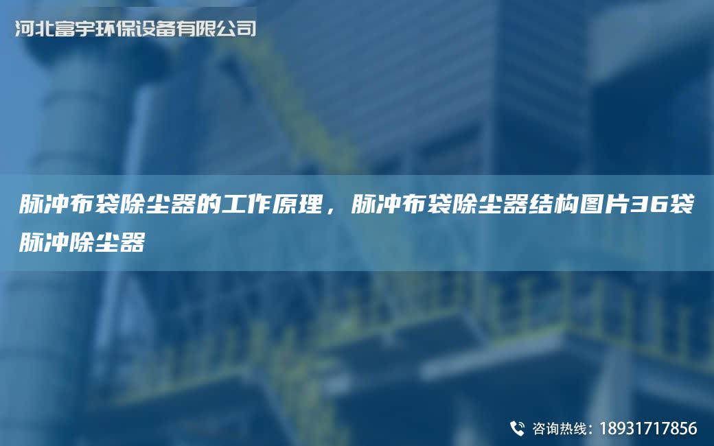 脈沖布袋除塵器的工作原理，脈沖布袋除塵器結構圖片36袋脈沖除塵器