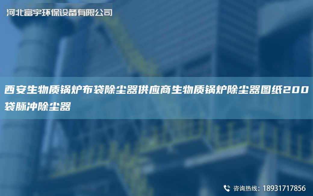 西安生物質(zhì)鍋爐布袋除塵器供應(yīng)商生物質(zhì)鍋爐除塵器圖紙200袋脈沖除塵器